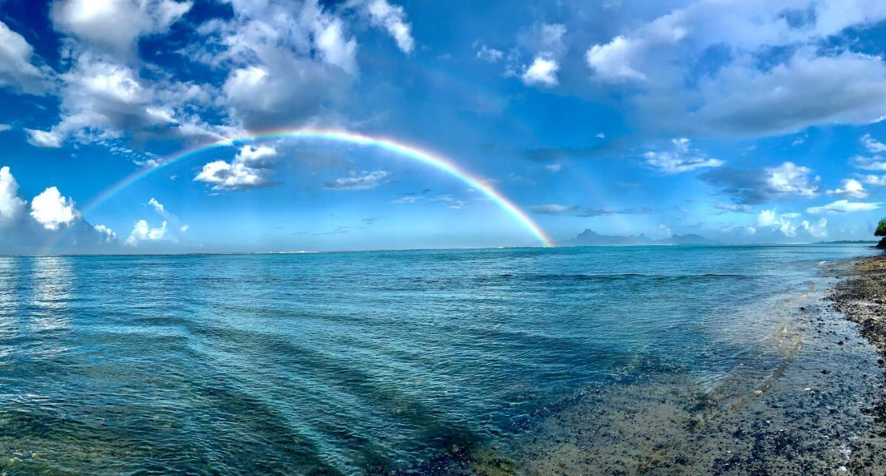 Superbe Bord De Mer, Acces Lagon Et Piscine Privee Paea Екстер'єр фото